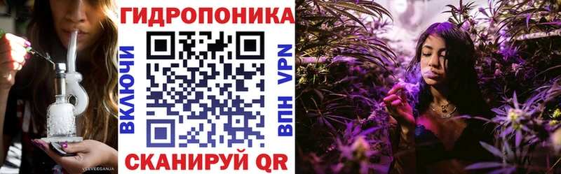 Каннабис конопля  дарк нет как зайти  Приозерск 